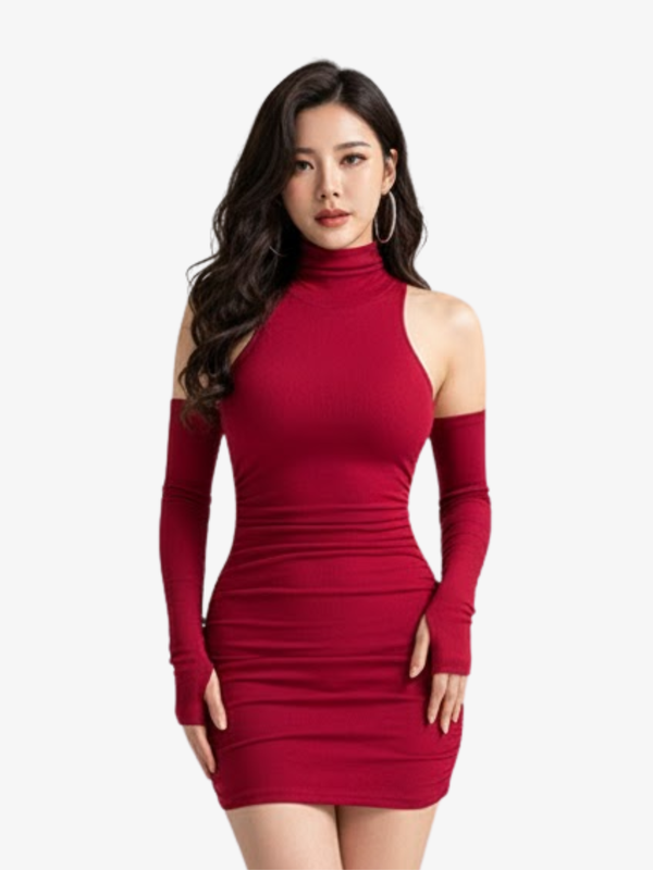 SEXY TURTLENECK DRESS